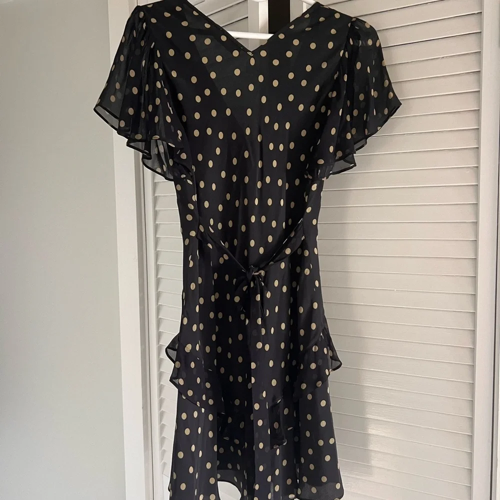 Rixo Mini Dress - Picture 5 of 6